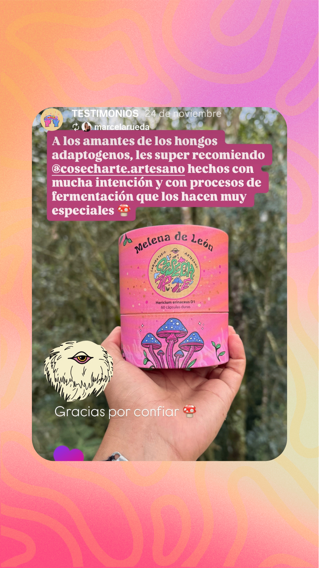 Testimonio 1